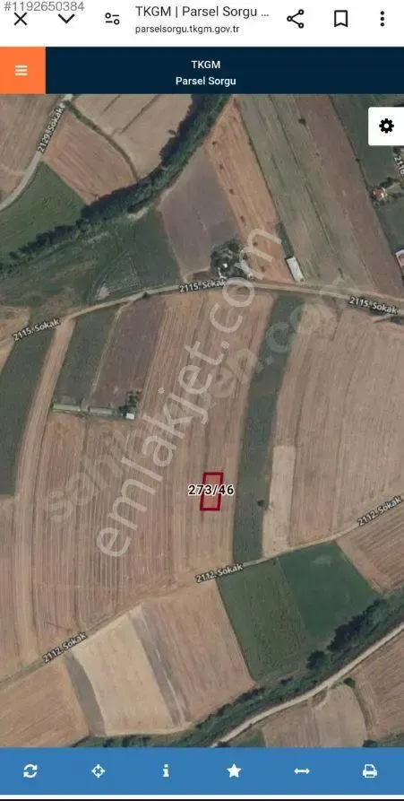 Sahibinden Acil Satılık Ergene Misinli 537 M2 Müstakil Arsa Sahibinden Araç Takas Olur