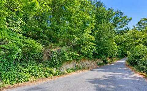 Sahibinden Beykoz Örnekköy'de Acarkent'e Komşu 751 M² Müstakil Tapulu Arsa