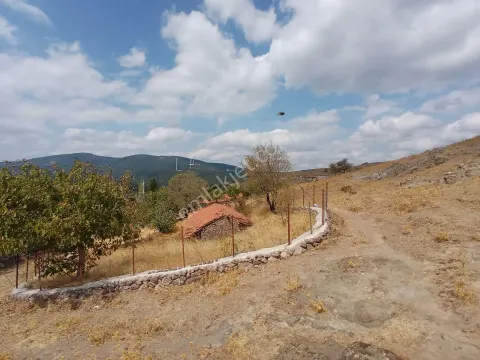 Sahibinden Köyü İçi Arsa
