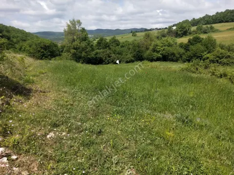 Sahibinden Sahibinden Derince Karagöllü' De 3581 M2 Müstakil Tapulu Tarla
