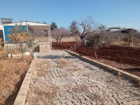Sahibinden Bağev