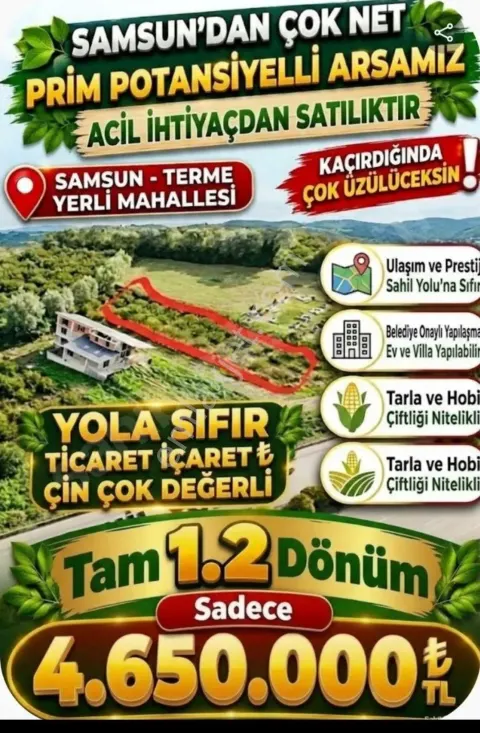 Sahibinden Sahibinden Karadeniz Sahil Yoluna Sıfır 1200 M2 Satılık Arsa
