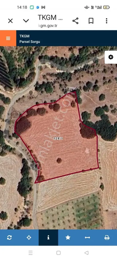 Sahibinden Günbağı Köyünde 9900m² Tarla