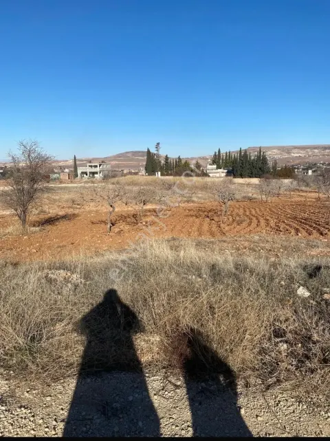 Sahibinden Karaköprü Tülmen'de Satılık 20.250 M² Bağ Ve Bahçe