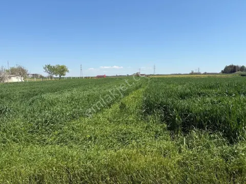 Sahibinden Kelepire Arsa