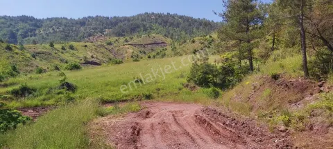 Sahibinden Satlık Arazi İster Yaylalık İstersen Hayvancılık Yap