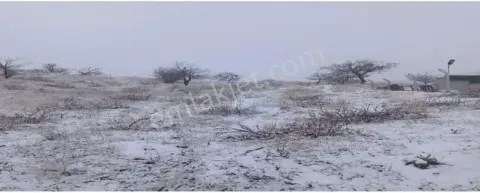 Sahibinden Acil Satılık Bağ