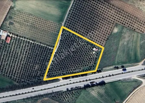 Sahibinden Salihli Osb Karşısı Yola Sıfır Tarla - Değerli Arazi