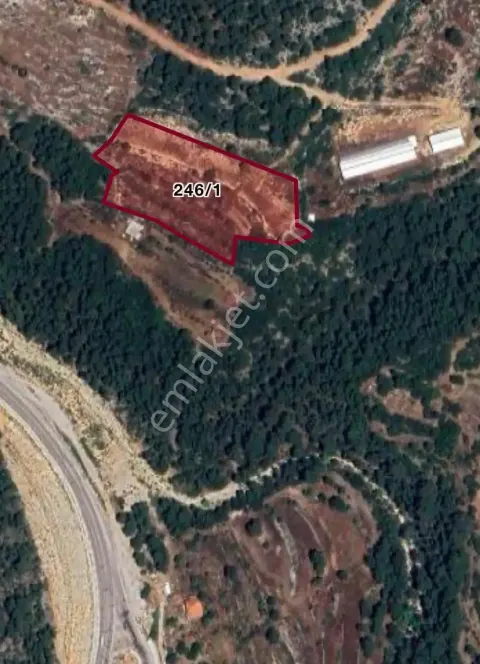 Sahibinden Bucak Karaseki Pamucak Ta 8100 M2 Yolu Olan Çit İle Çevrili Tarla