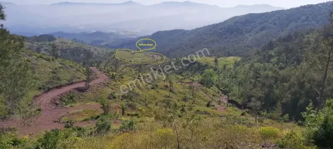 Sahibinden Doğanın İçinde Sessizliğin Yeri