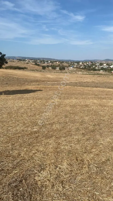 Sahibinden Enez Sultaniçe Köyü 2900 M² Satılık Tarla