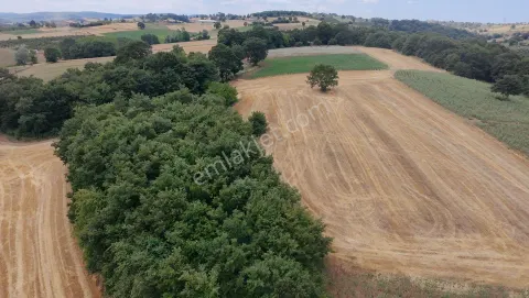 Sahibinden Doğayla İç İçe, Yatırımlık Fırsat!