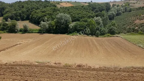 Sahibinden Sahibinden Kocaeli Kandıra Seyitaliler’de Satılık Yatırımlık Tarla