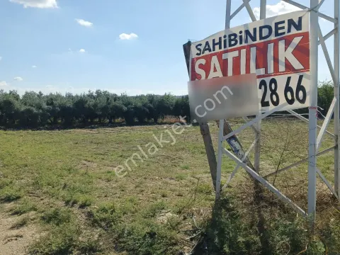 Sahibinden Tarsus Eskişehir Mah Otoyol Kenarı 1194 M2 Tarla