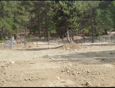 Sahibinden Satılık Arsa – Meydan Yaylası Ciritler Mahallesi