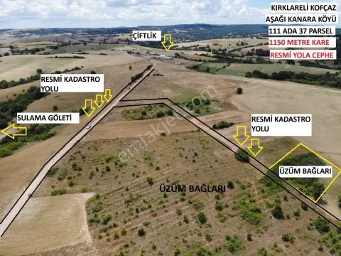 Sahibinden Üzüm Tarlası