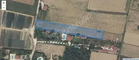 Sahibinden Muğla'nın Gözdesi Gökova Çıtlık'ta Sah. Satılık Kelepir Tarla