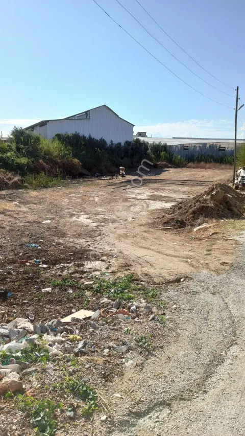 Sahibinden Anamur Bozdoğan'da Konum İtibariyle Avantajlı Anayola Sıfır.