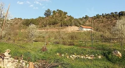 
          DİKKAT!!! TEMİZ HAVA...OKSİJEN DOLU HAYAT KAYNAĞI
        