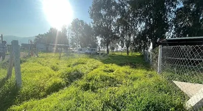 
          | ACİL |Değirmendere’de HAZIR Kooperatif Hobi Bahçesi | 300 m²
        