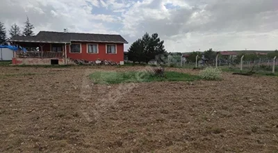 
          Büyük Fırsat
        