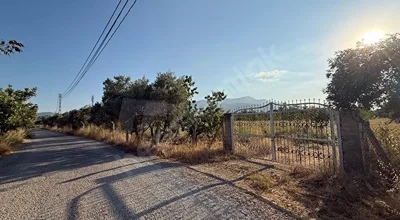
          Kemalpaşa Örnekköy Okul Yolu Cad. 12 Dönüm Depolu Fırsat Bahçesi
        
