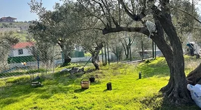 
          İMARA YAKIN TAPULU BAHÇE ULUCAK
        