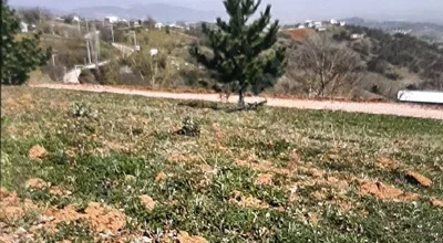 
          İMARA ÇOK YAKIN Yatırımlık Fırsat Arsa
        