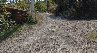 
          Geyve merkeze yakın doğa içinde satılık
        