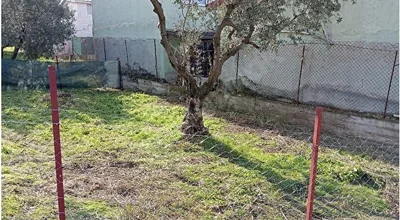
          Bursa Mudanya Mesudiye Arsa
        