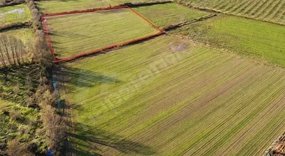 
          Düzce merkez satılık tarla  Yukarı Yahyalar  kanavaz altı
        