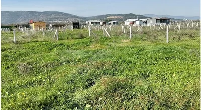 
          kooparatifi hisseli bahçe
        