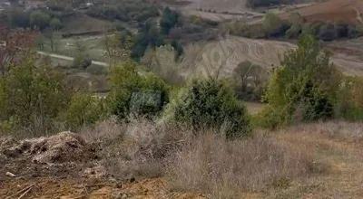 
          tekirdag malkara dereköy
        