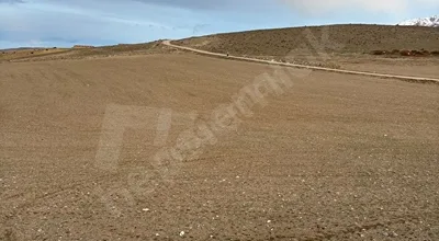 
          SÜPER KONUMDA ASFALTA SIFIR TEK TAPULU ELEKTRİK SU ALMA İMKANI OLAN ÇİFTLİK, YATIRIMLIK İÇİN UYGUN
        