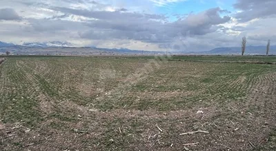 
          ARAÇ TAKAS OLUR / SİNDELHÖYÜK MAH MEZARLIK ARKASINDA TEK TAPU 3557 M2
        