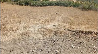 
          Balıkesir Altıeylül Akarsu Mahallesi'nde tarla 2600 m2
        