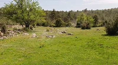 
          BÜYÜK FIRSAT DENİZE YAKIN KONUT YAPI KAYIT BELGELİ SATILIK 3069 M2 ARAZİ
        