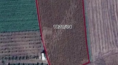 
          sahibinden satılık 8183m² tarla
        