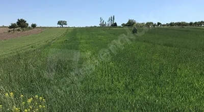 
          Tek Tapu 5400 M2 Kadostro Yolu var
        