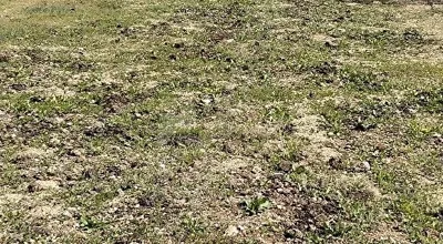 
          Güneyaşağı’nda Hemen Oturuma Hazır, Abonelikli Müstakil Bağ & Bahçe
        