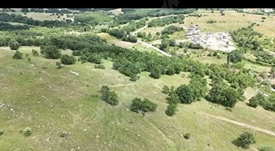 
          Müstakil Tarla
        