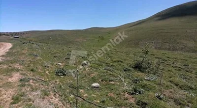 
          Gümüşhane Merkez Kaletaşta 120 Metre Yol Cepheli 2.445 m2 Arazi
        