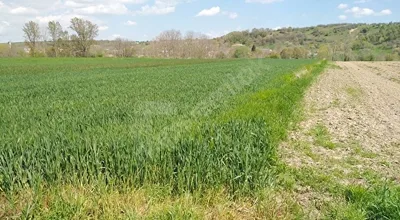 
          Babaeski Yeniköy karşısı dere boyu 2650 m2 bahçe
        