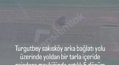 
          satılık 5000 m² tarla
        