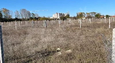 
          TEKİRDAĞ SARAY YUVALI DA İMARLI KONUT ARSA 250m SATILIK
        