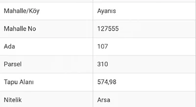 
          ayanısda müstakil arsa
        