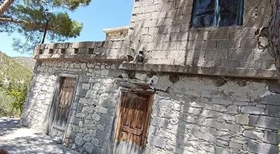 
          MUT ÇORTAK ZEYTİN BAHÇESİ
        
