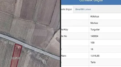 
          asfalt sıfır
        