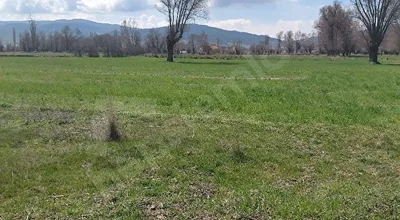 
          SAHİBİNDEN SATILIK AFYONKARAHİSAR SİNANPAŞA'DA 1.471 M² TARLA
        