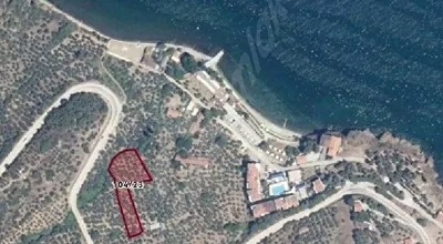 
          MUDANYA KUMYAKA'DA DENİZE 150 MT'DE ZEYTİNLİK
        